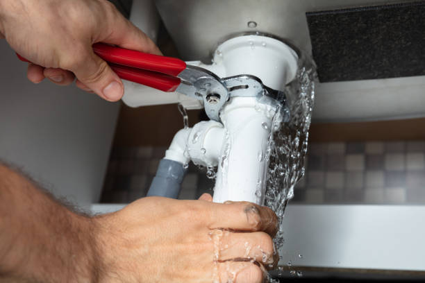Best Professional water damage repair  in Rexburg, ID