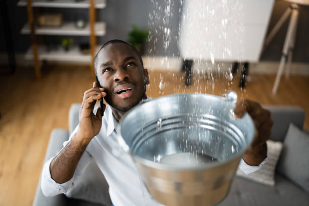 Best Ceiling water damage repair  in Rexburg, ID