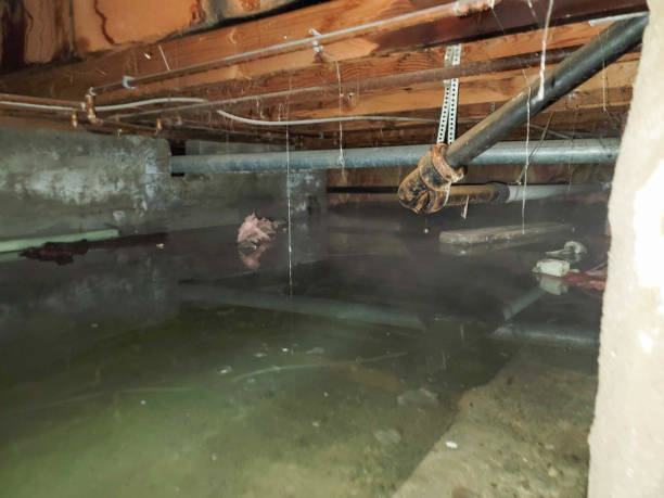 Best Emergency water damage restoration  in Rexburg, ID