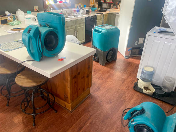 Best Water damage cleanup near me  in Rexburg, ID