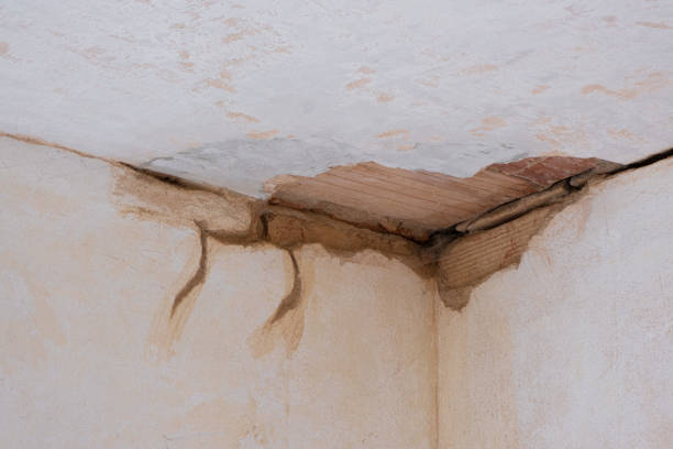 Best Sewage cleanup and water damage restoration  in Rexburg, ID