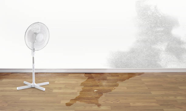 Best Professional water damage repair  in Rexburg, ID