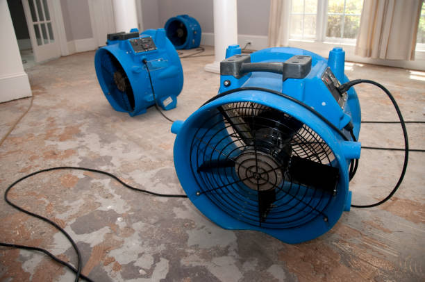 Best Water damage restoration near me  in Rexburg, ID