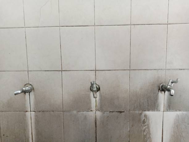 Reliable ID Water damage restoration Solutions