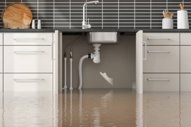 Best Water damage restoration near me  in Rexburg, ID