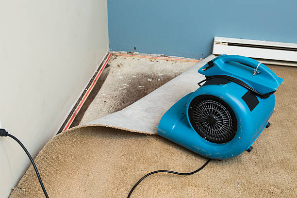 Best Flood damage cleanup  in Rexburg, ID